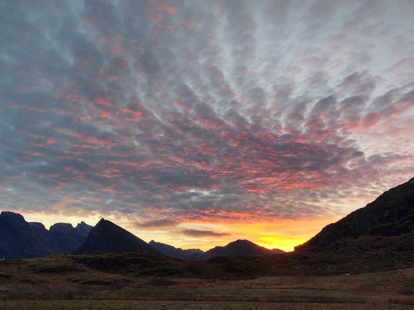 Fredvang Farm House - Lofoten ภายนอก รูปภาพ