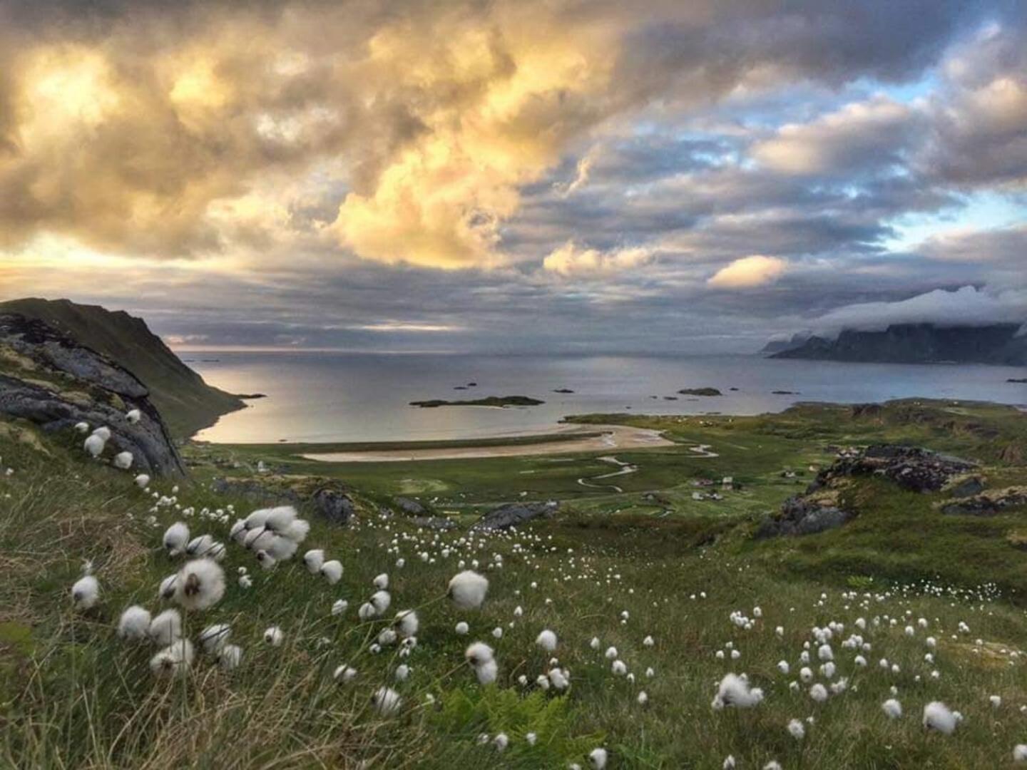 Fredvang Farm House - Lofoten ภายนอก รูปภาพ